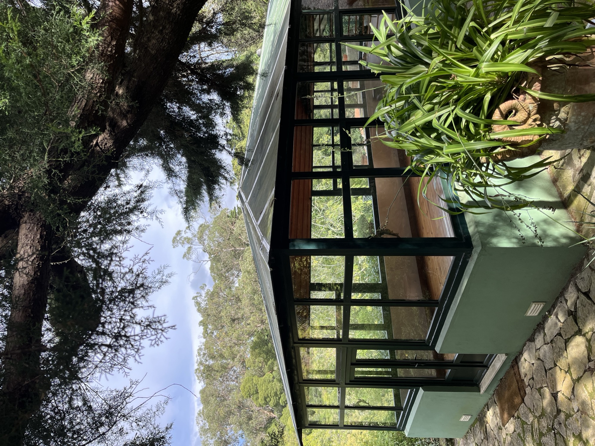 Yoga in Sintra Forest — photo 10