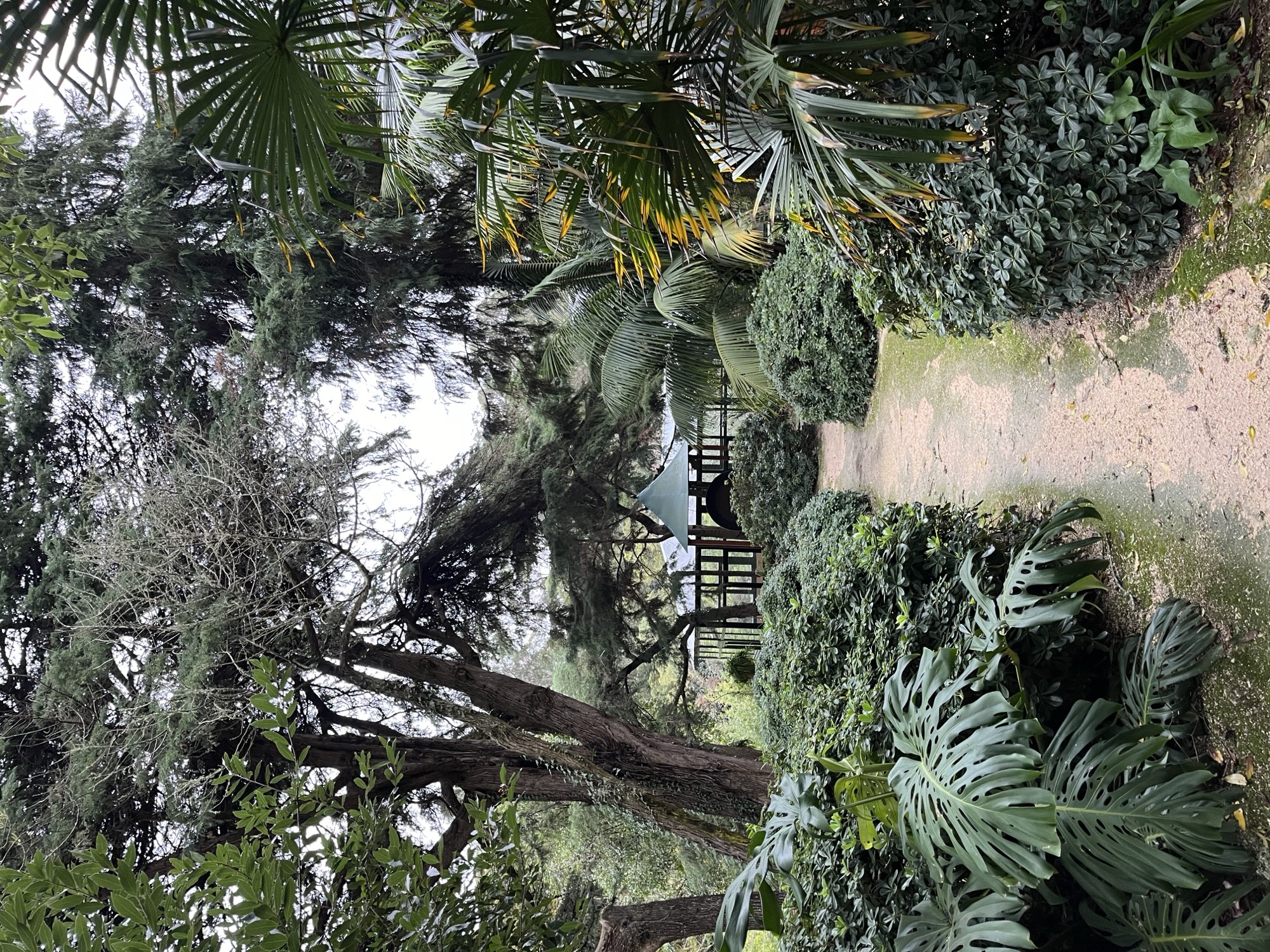 Yoga in Sintra Forest — photo 4